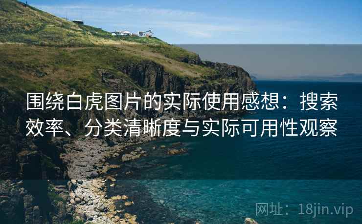 围绕白虎图片的实际使用感想：搜索效率、分类清晰度与实际可用性观察