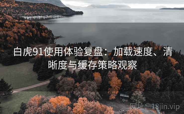 白虎91使用体验复盘：加载速度、清晰度与缓存策略观察