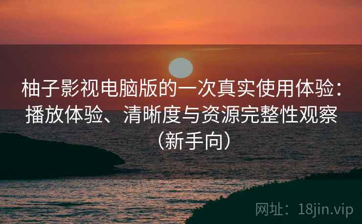柚子影视电脑版的一次真实使用体验：播放体验、清晰度与资源完整性观察（新手向）