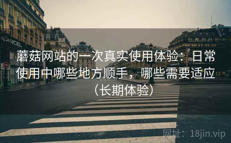 蘑菇网站的一次真实使用体验：日常使用中哪些地方顺手，哪些需要适应（长期体验）