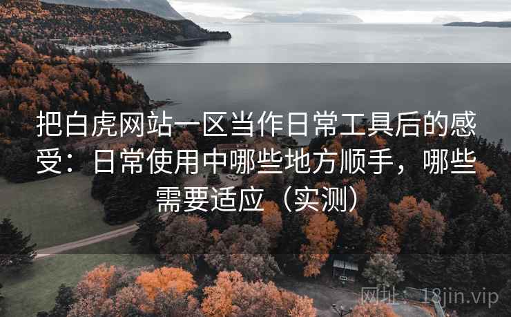 把白虎网站一区当作日常工具后的感受：日常使用中哪些地方顺手，哪些需要适应（实测）